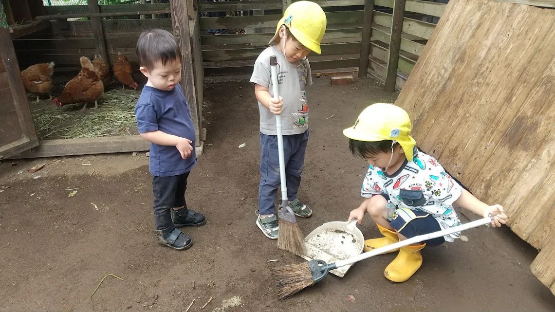 ほうきとちりとりで鶏小屋を掃除する子どもたち