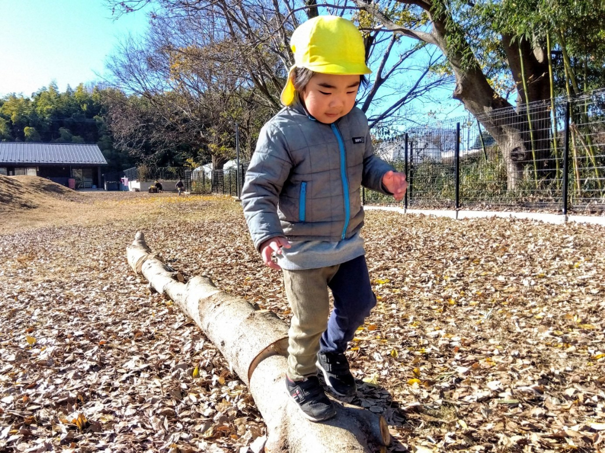 大木を橋のように渡る子ども