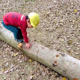 発達支援つむぎ 香取台「外遊びの充実と香取台リビングルームの開催」
