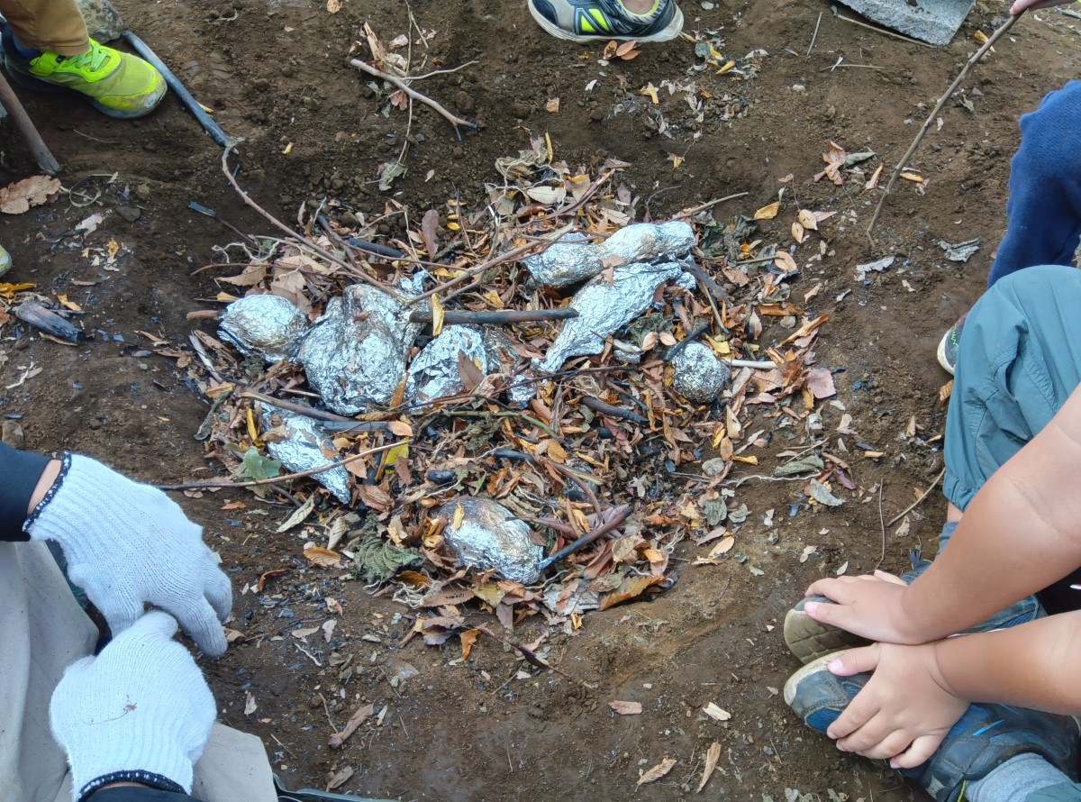 焚き火の中に入れられたさつまいも