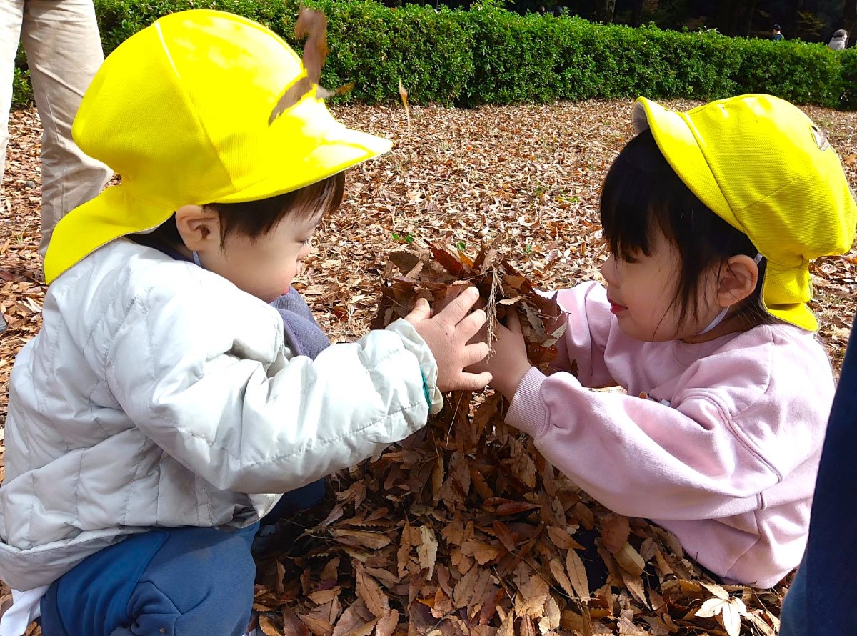 葉っぱを集める子どもたち