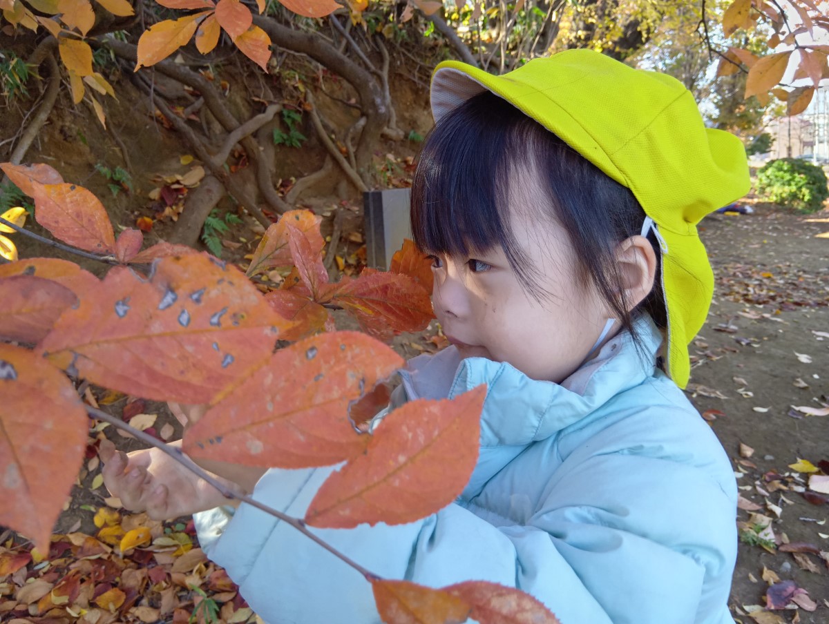 木の葉を眺める子ども