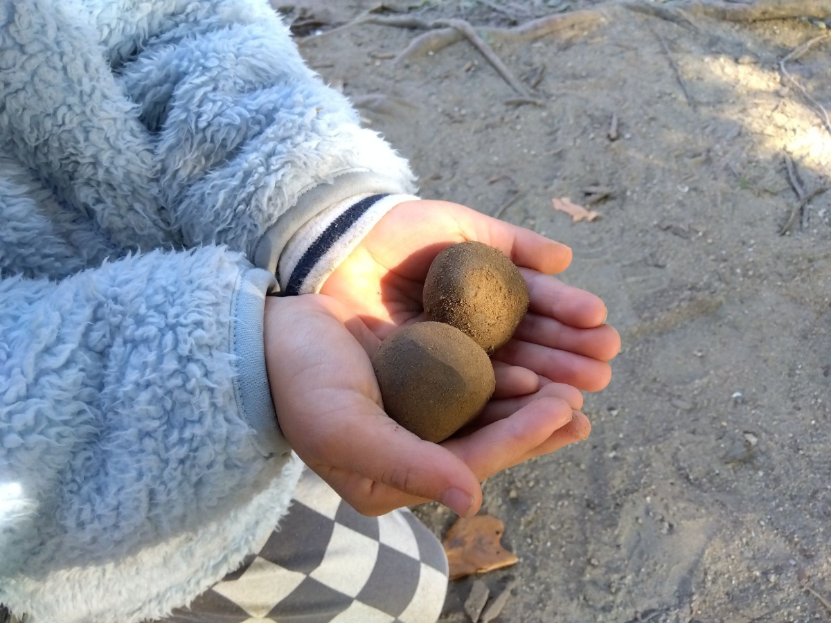 掌に泥団子を載せる
