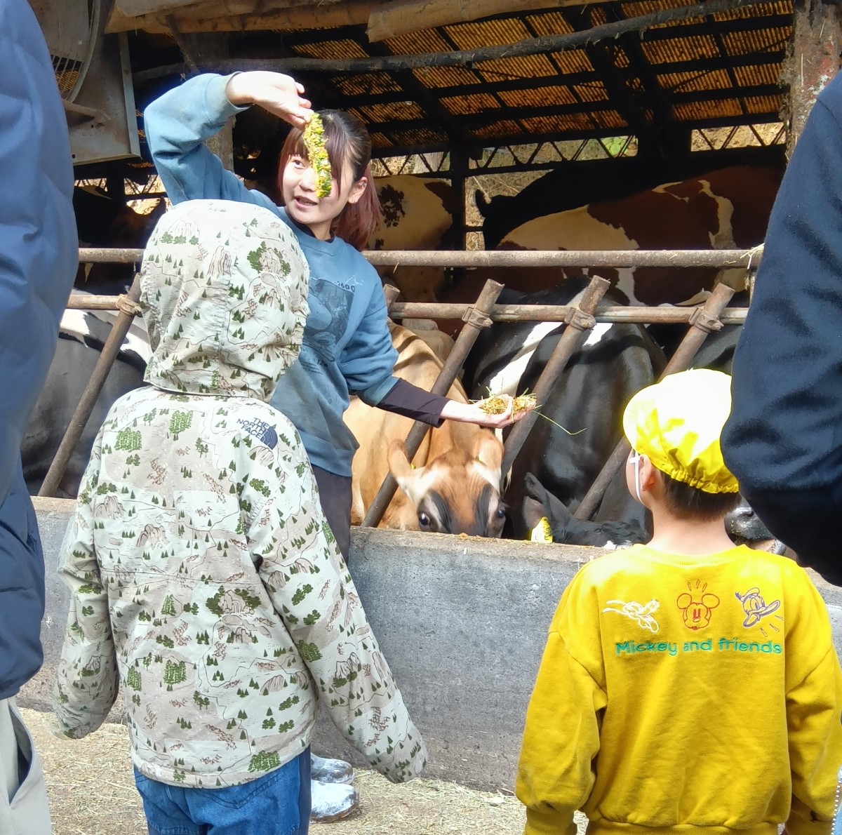 牛舎を見る子どもたち