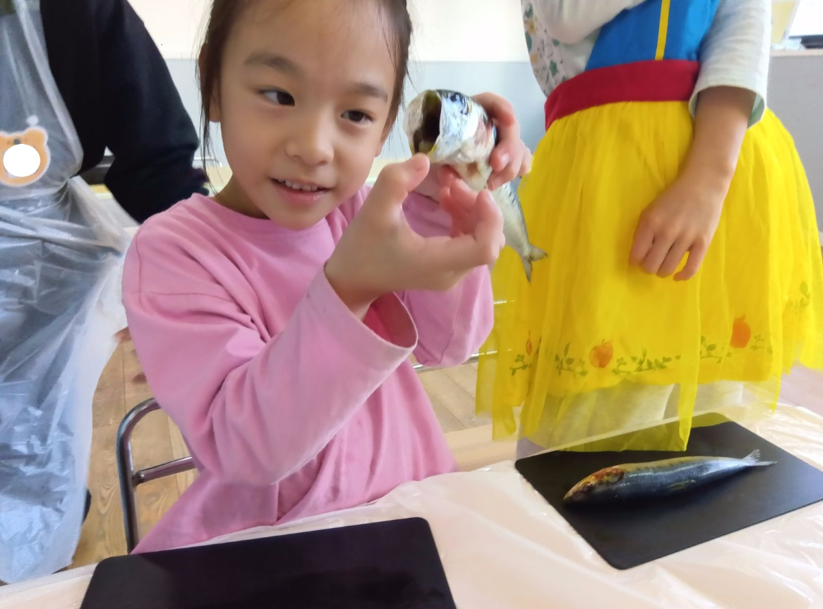 開いたいわしを見つめる