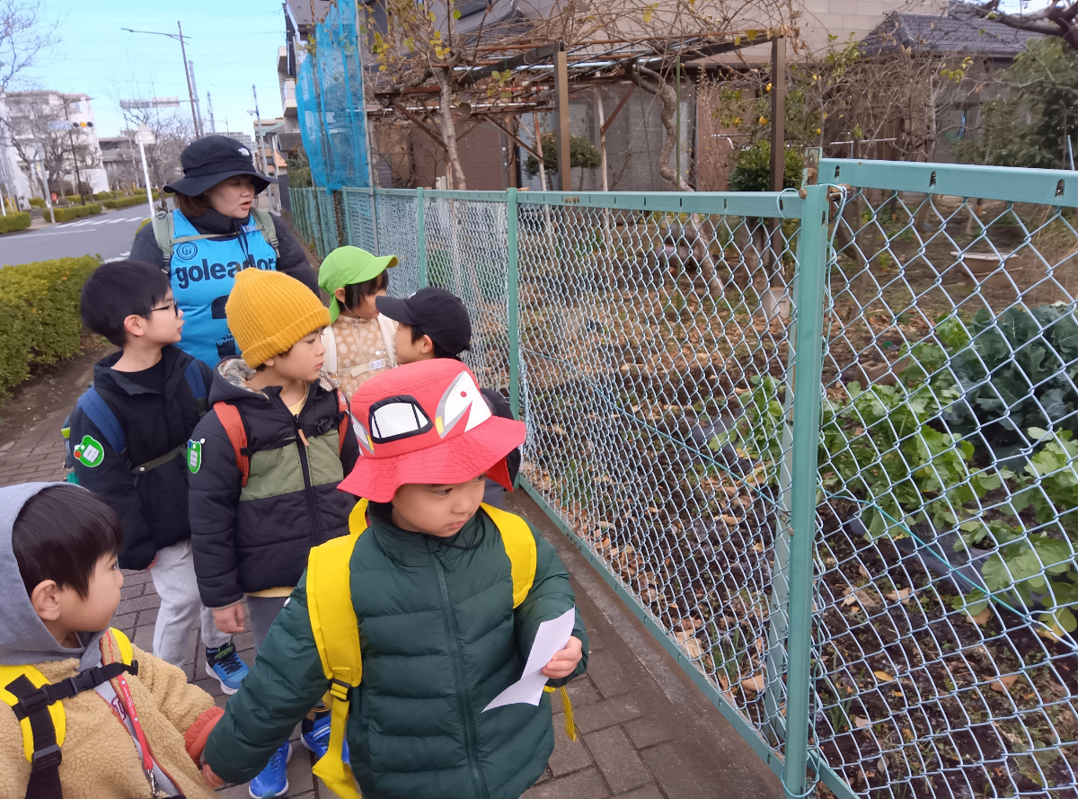 道を歩きながら畑を見る