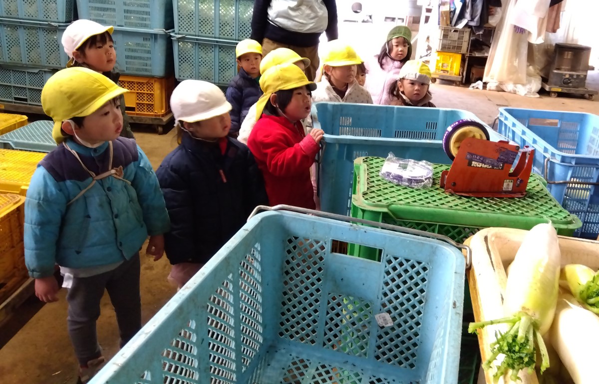 農園で収穫された野菜を眺める子どもたち