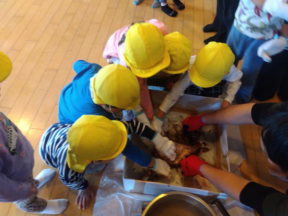 軍手で鶏を触る子どもたち