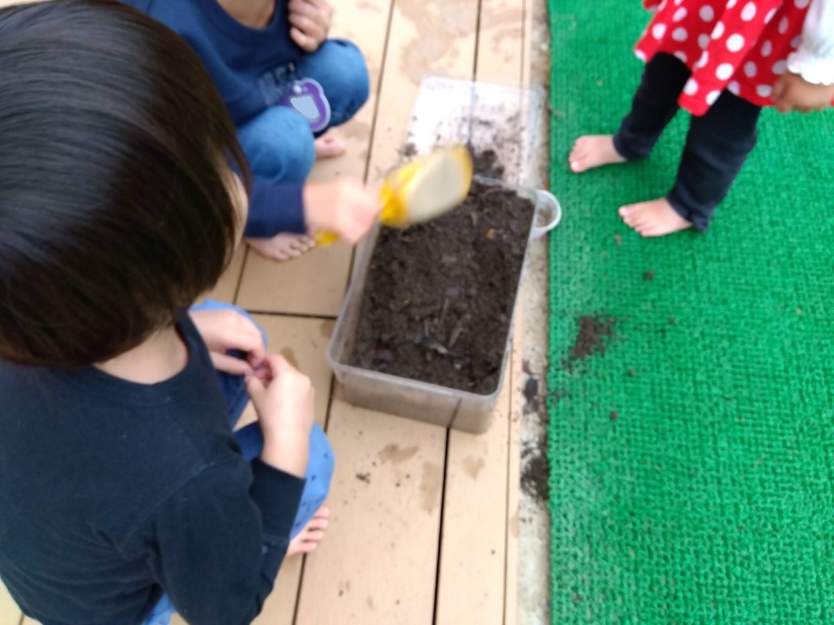 土をプラケースに移し入れる子どもたち