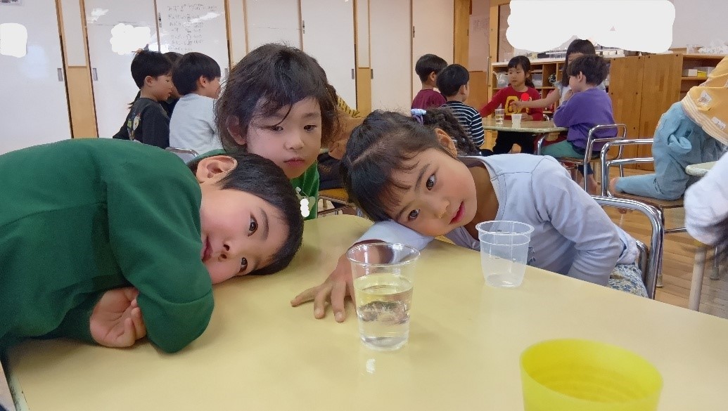 コップに入れた水と氷を観察する子どもたち