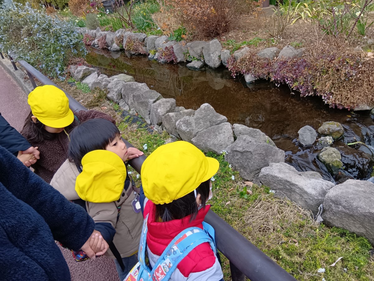 小川を眺める子どもたち