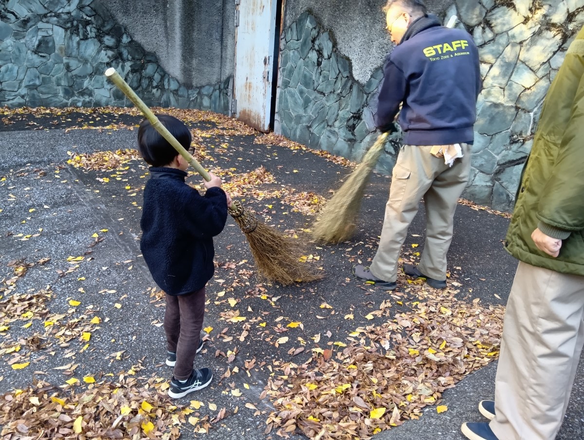 ほうきで落ち葉を掃く子ども