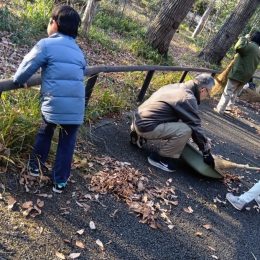 発達支援つむぎ 吉祥寺「地域との関わり~井の頭動物園での『仕事』体験~」