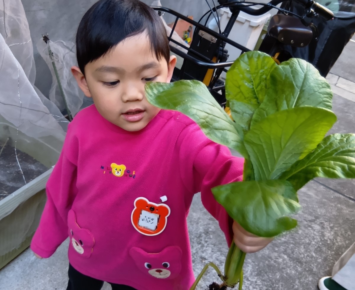小松菜を手に持つ子ども