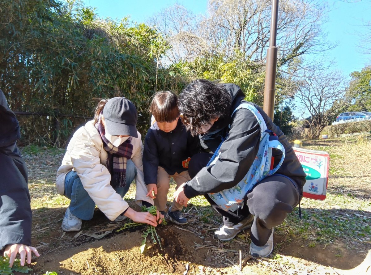 親子で野菜を収穫する様子