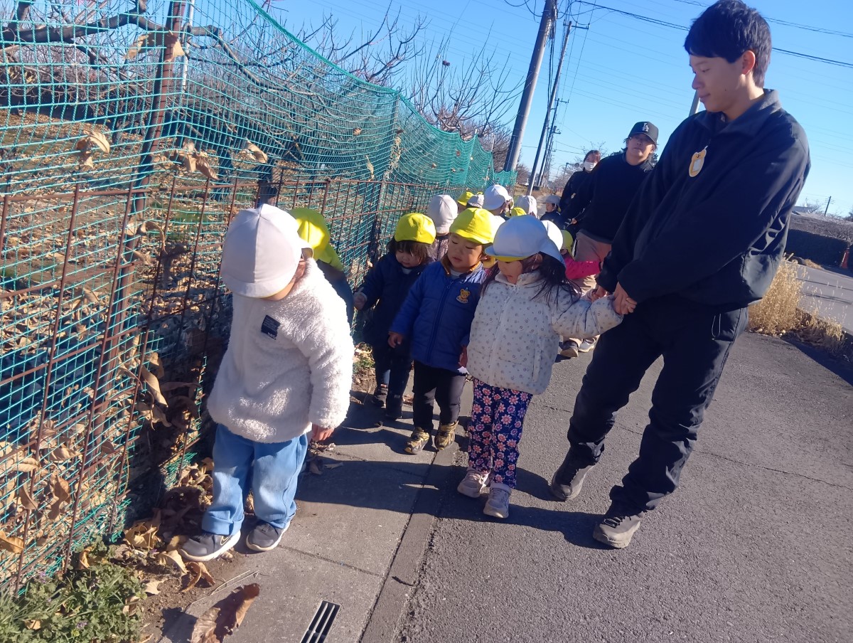 手をつないで散歩する子どもたち