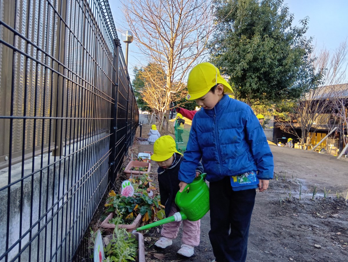 プランターに水をあげる子どもたち