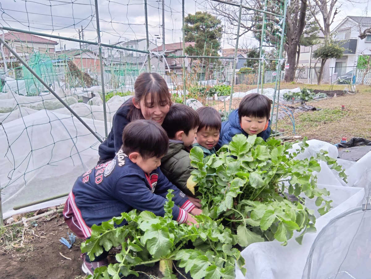 野菜を収穫する子どもたち