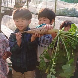 発達支援つむぎ 阿佐ヶ谷「畑仕事での取り組み~大根の収穫をしたよ~」