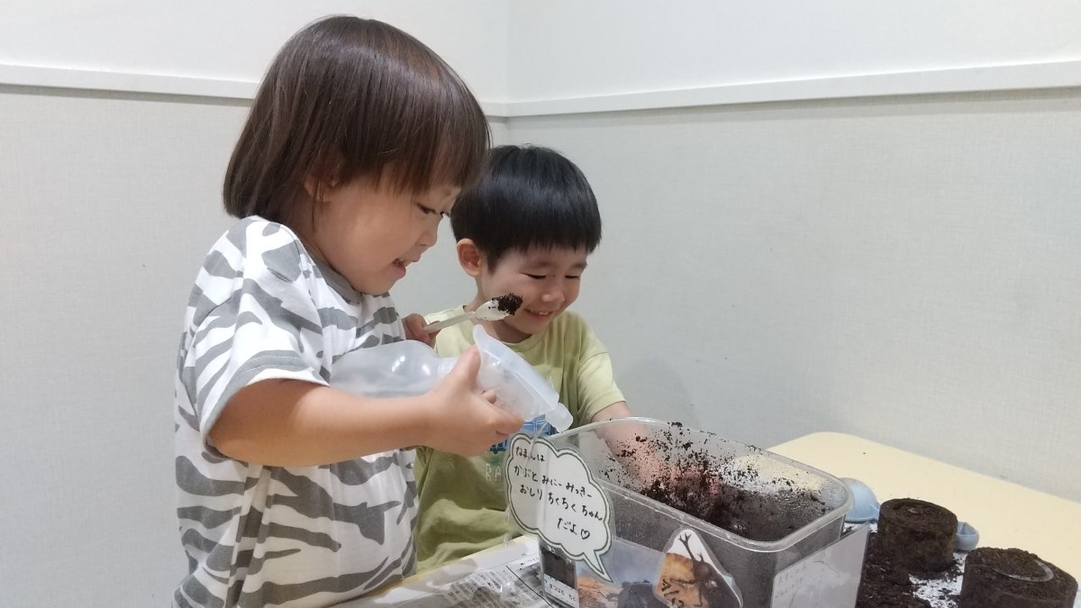 飼育ケースを子ども2人で土替えしている