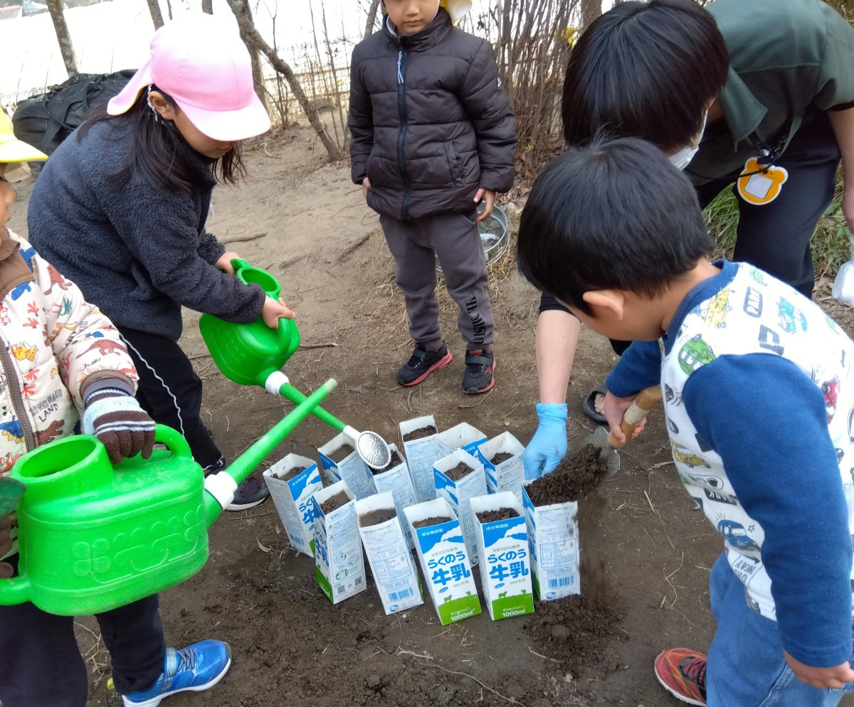 牛乳パックの土に水をまく子どもたち