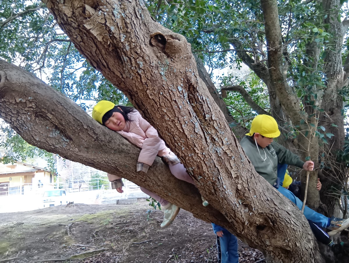 木登りをする子どもたち