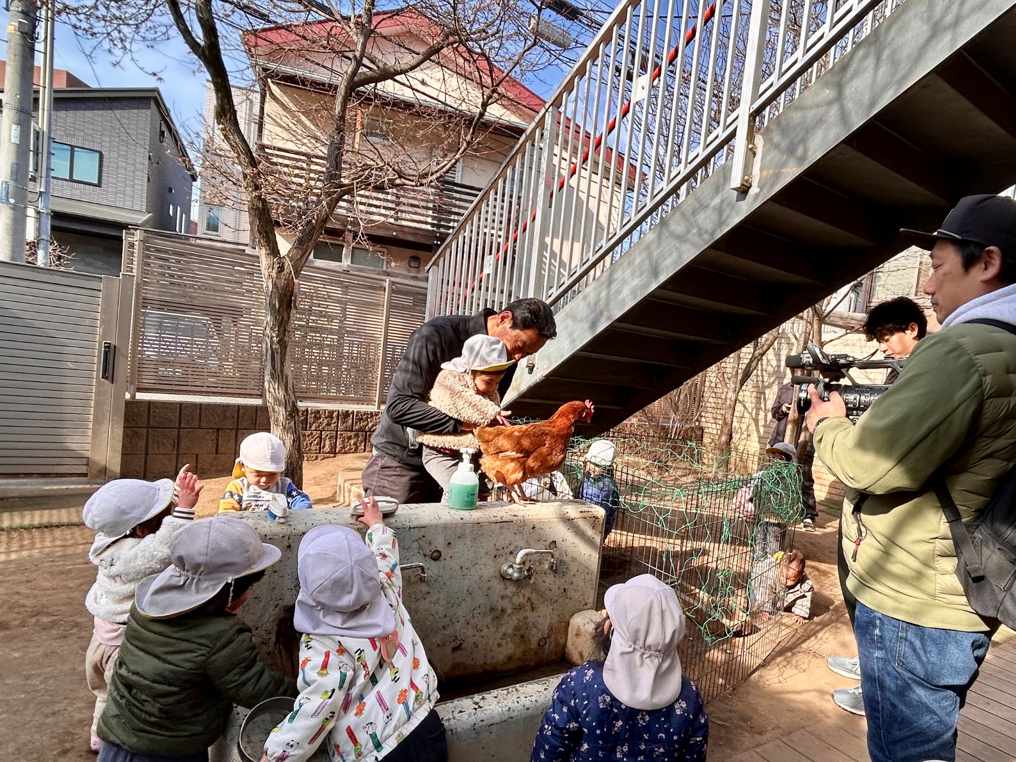 髙澤さんと子どもたちが散歩先の保育園の園庭で鶏と触れ合う様子