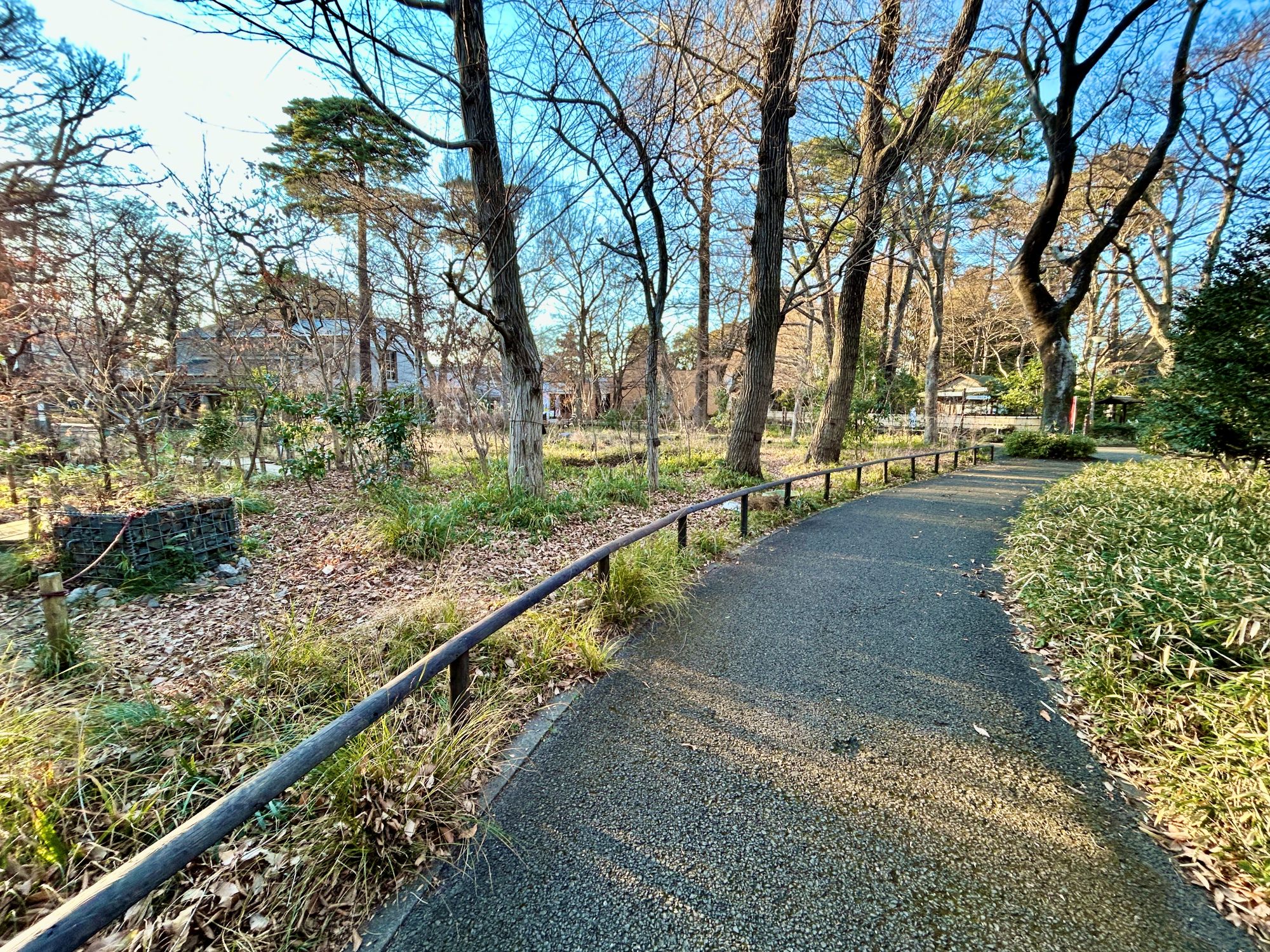 きれいになった「いきもの広場」前の通路