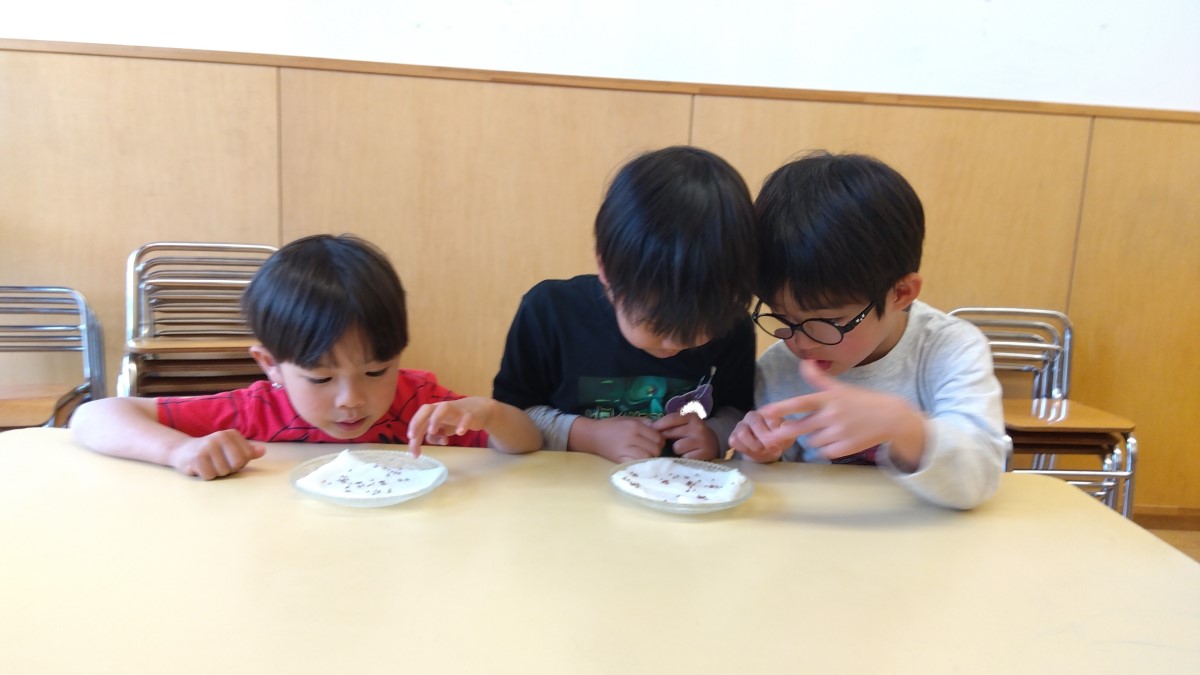 種を興味津々で観察する子どもたち