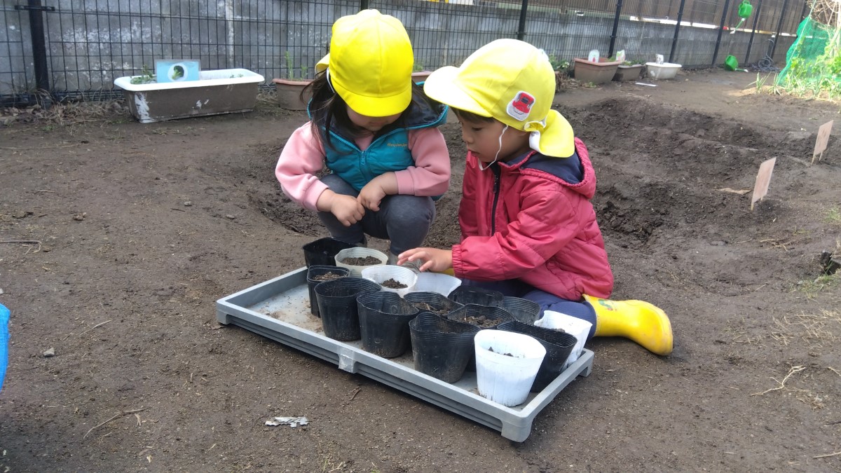 植えた種を観察する子どもたち