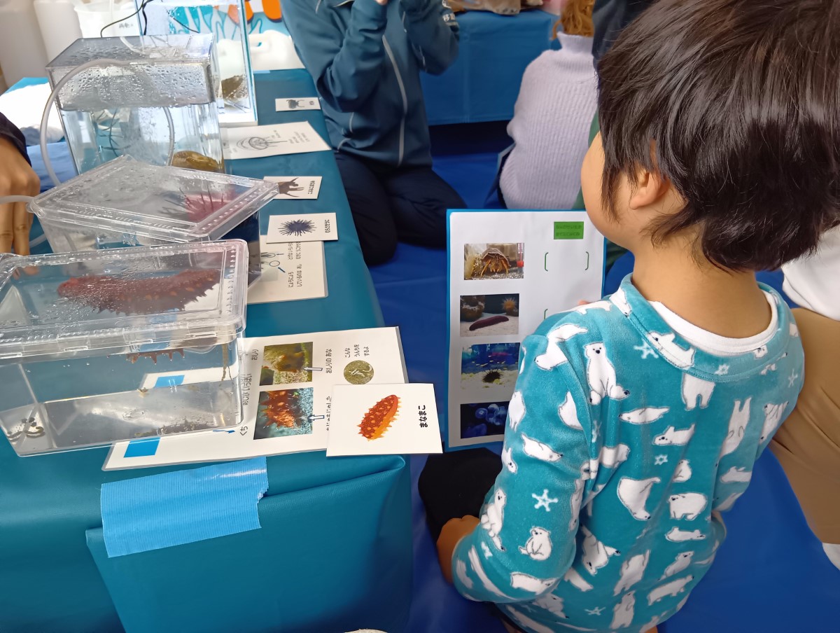 生き物の写真と実物を比べる子ども