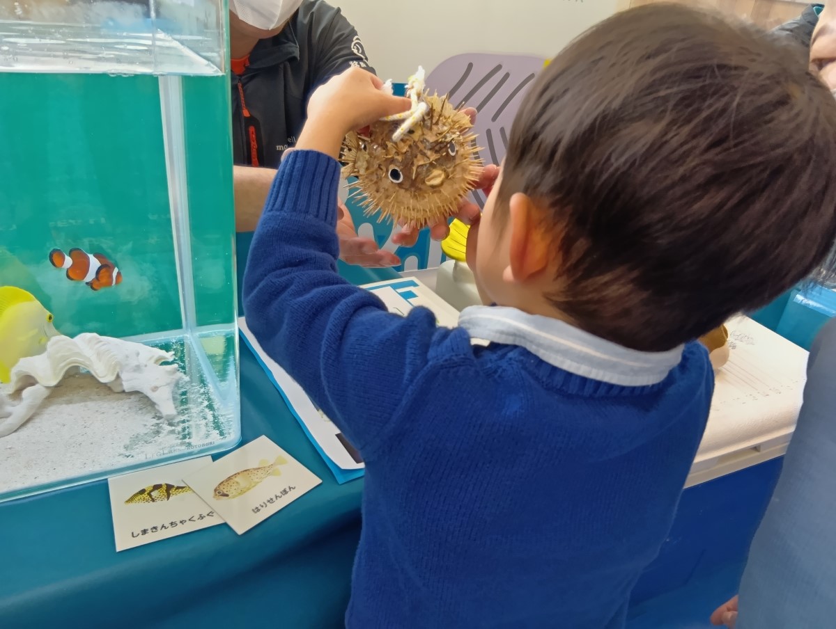 フグのはく製に触れる子ども