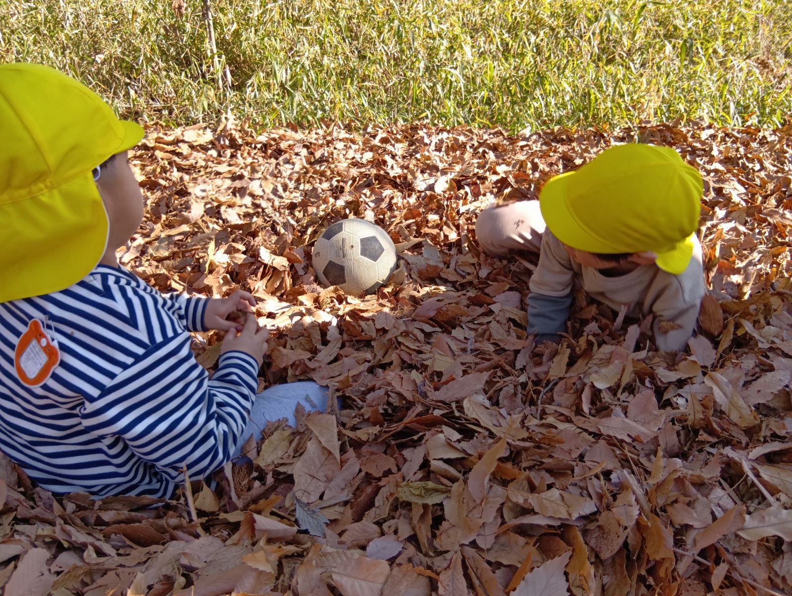 葉っぱに埋もれて遊ぶ子どもたち