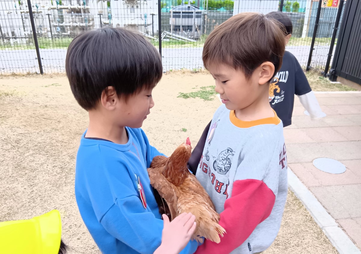 子どもたち2人がかりで鶏を抱っこする様子