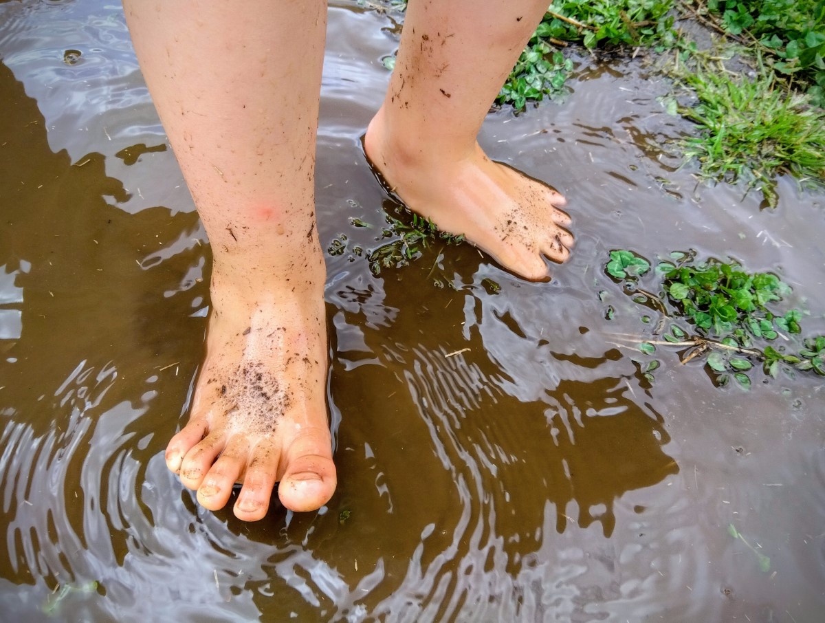 泥の中に足を入れる子ども