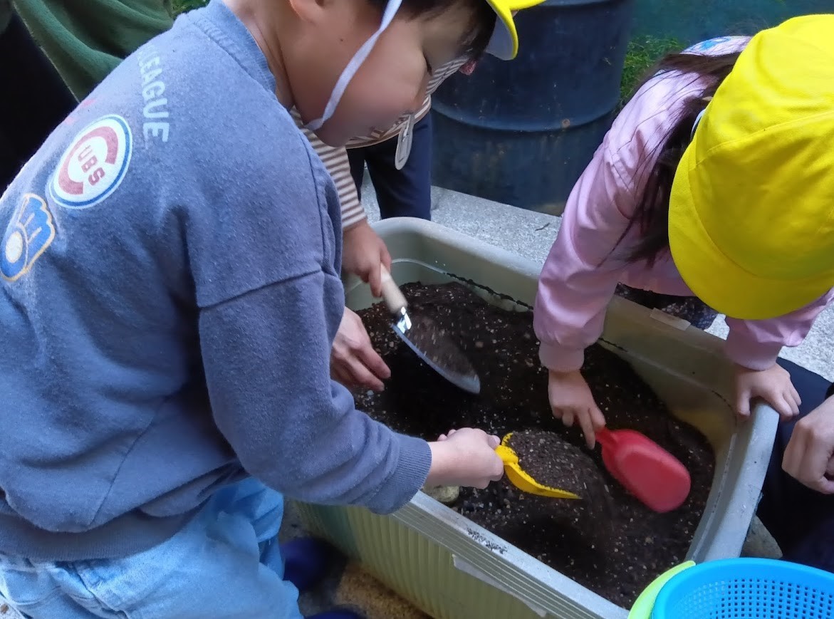 子どもたちはスコップを手に持ち、プランターに土を入れジャガイモの苗を植えている