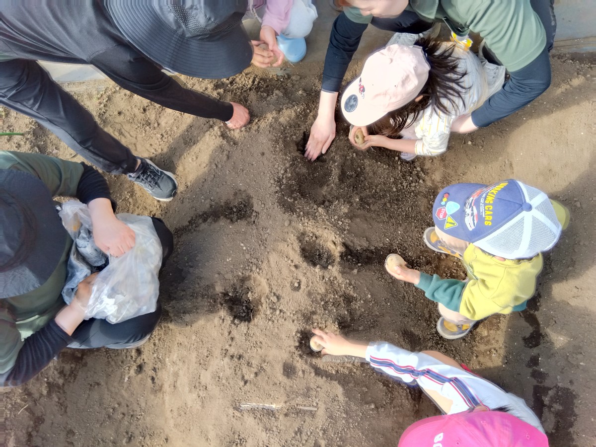 畑に種を植える子どもたち