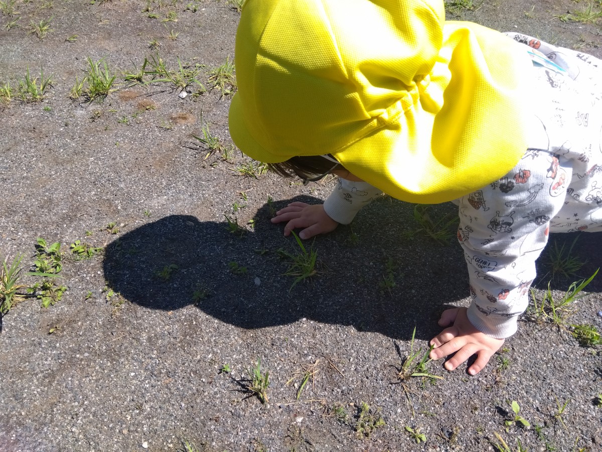 四つん這いになり蟻を観察する子ども