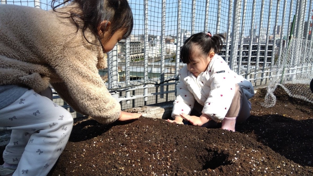 畑の土に触れる子ども