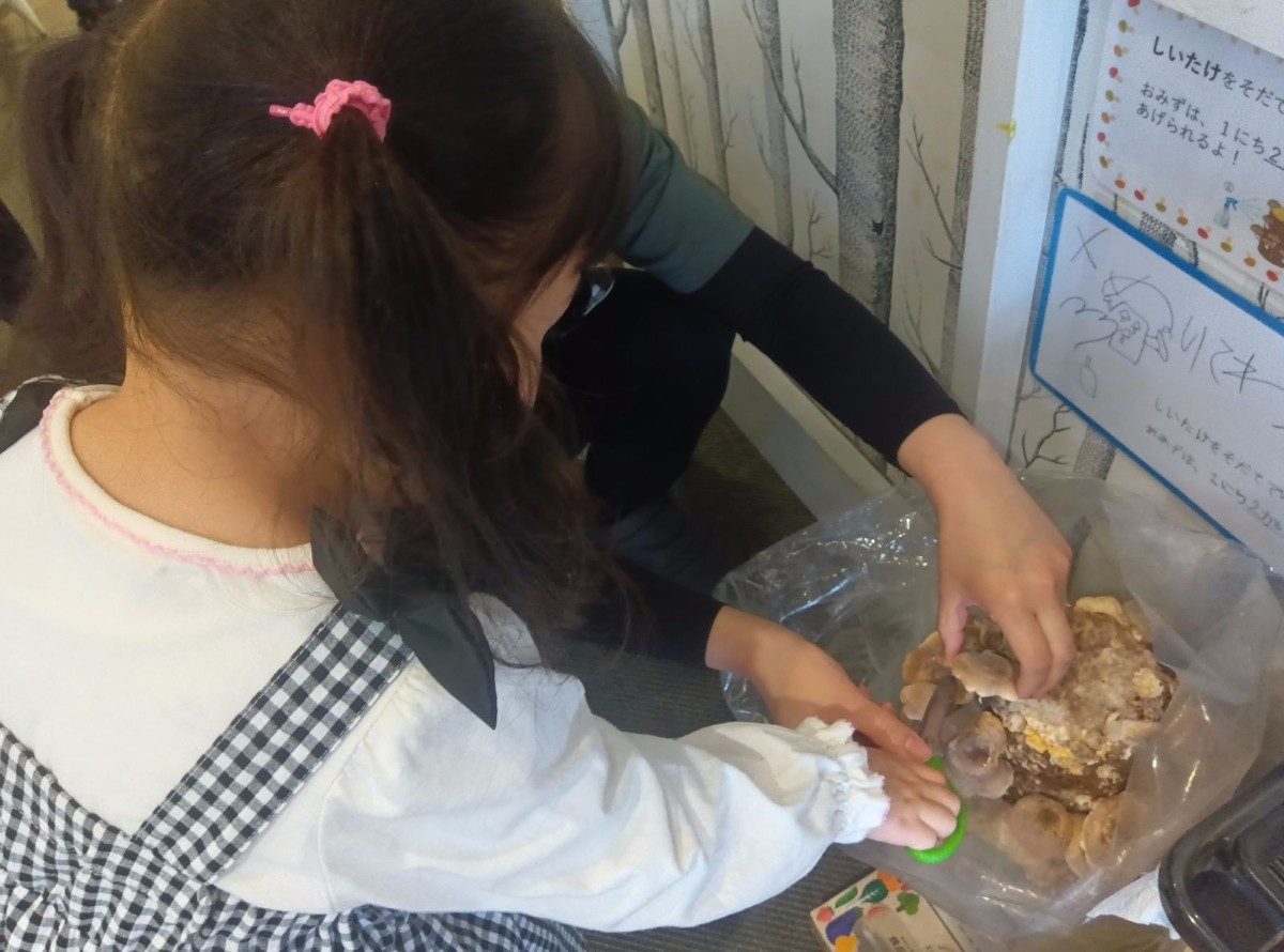 保育者は片手で育てた椎茸のかさを持ち、反対の手では子どもが持つハサミを支え、椎茸の根元にハサミの刃が当たるようにしている。