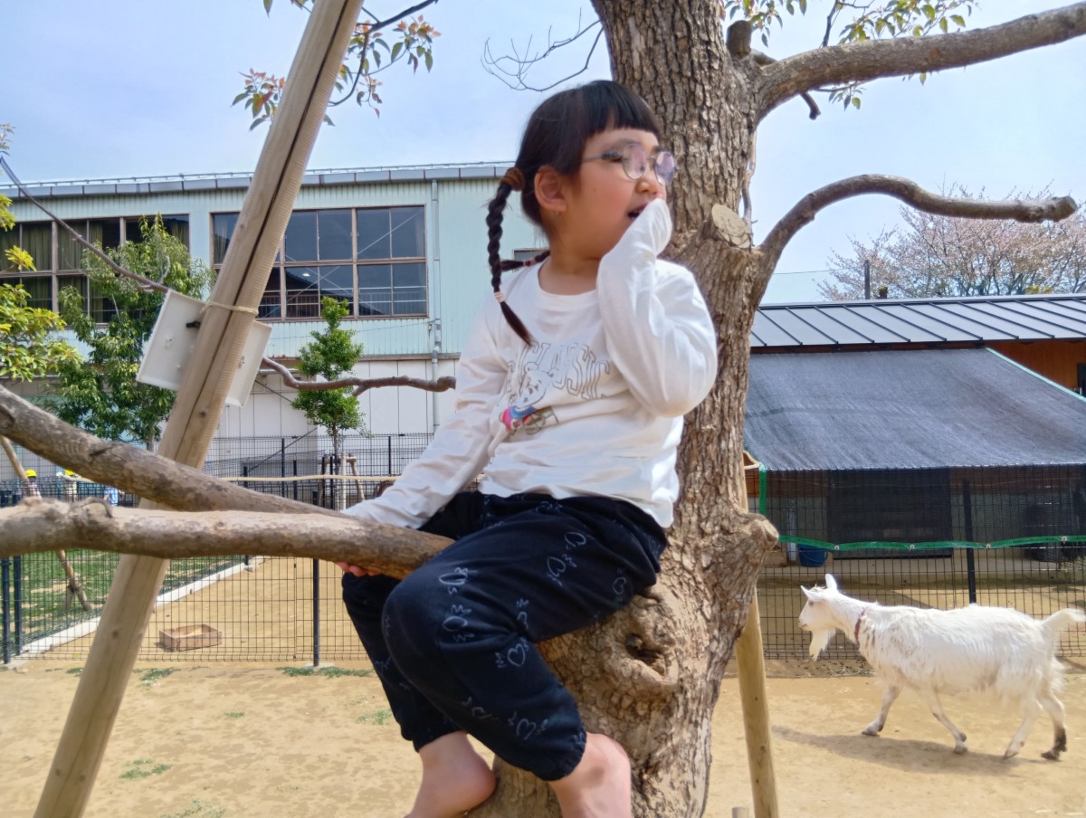 木の枝に腰掛けて座り、口元に手を当てて遠くをみる子ども。近くにはヤギが歩いている。