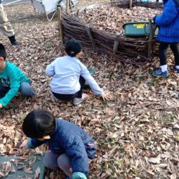 発達支援つむぎ 吉祥寺「武蔵野中央公園での子ども管理人」