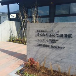 発達支援つむぎ さくら「つむぎ さくらルームの施設紹介」