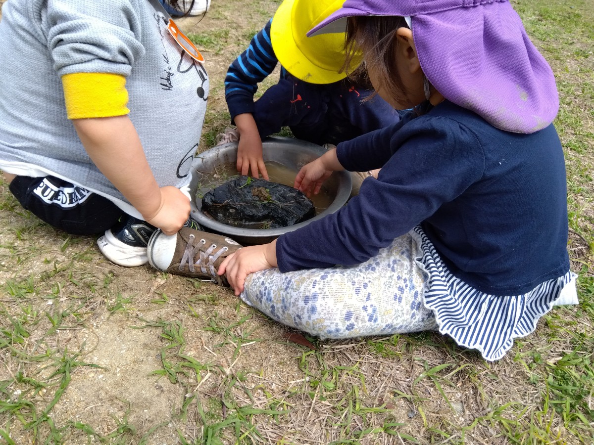 カエルがいる洗面器の中の水に触れる子、それを近くで見る子などがいる。