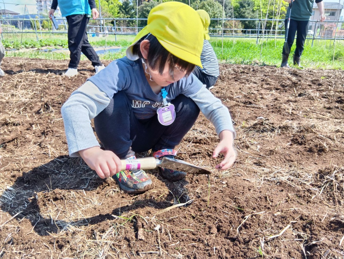 子どもが畑にしゃがみ、スコップについた土に触れようとしている