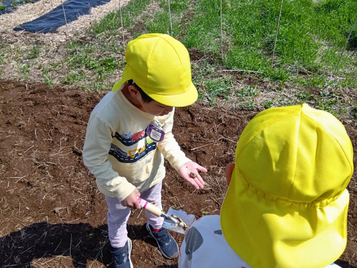 一人の子どもが片手にはスコップを持ち、反対の掌の上には幼虫をのせて、幼虫の様子を見ている