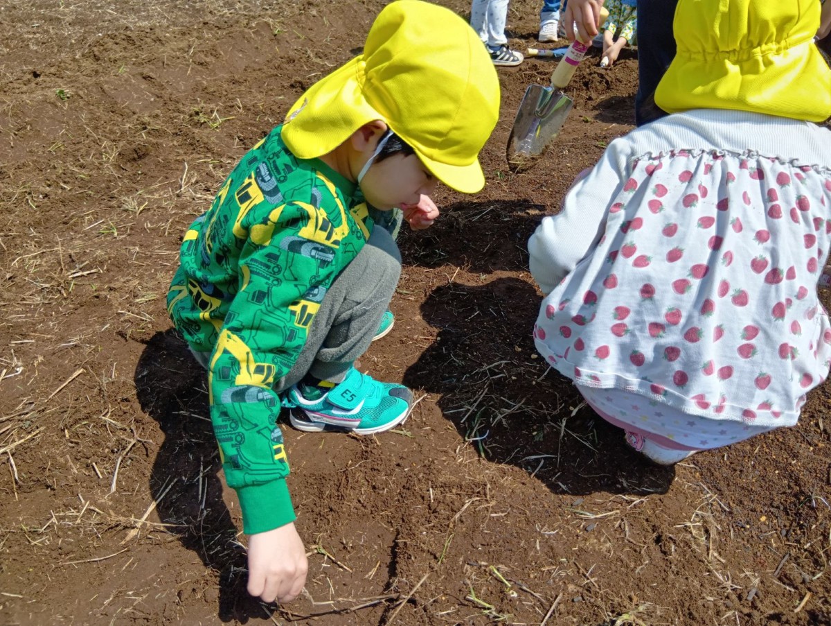 一人の子どもが畑にしゃがんで雑草を見つめている