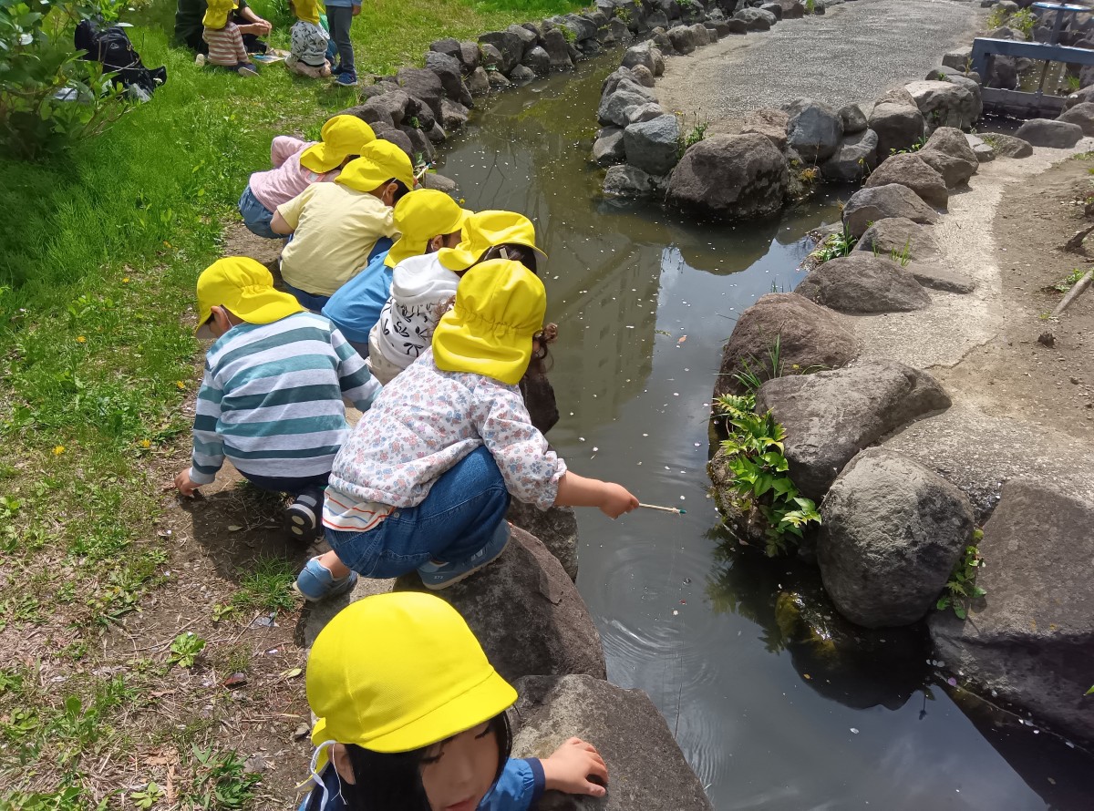 子どもたちは川沿いにしゃがみ、川の中を覗き込んでいる