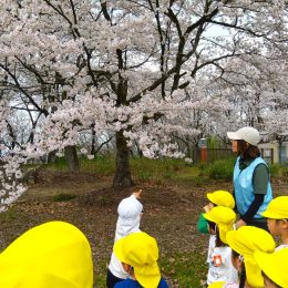 子どもたちと若杉施設長の散歩の様子