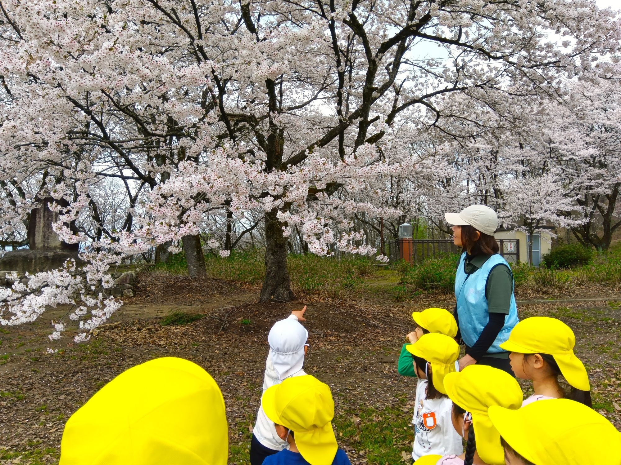 子どもたちと若杉施設長の散歩の様子